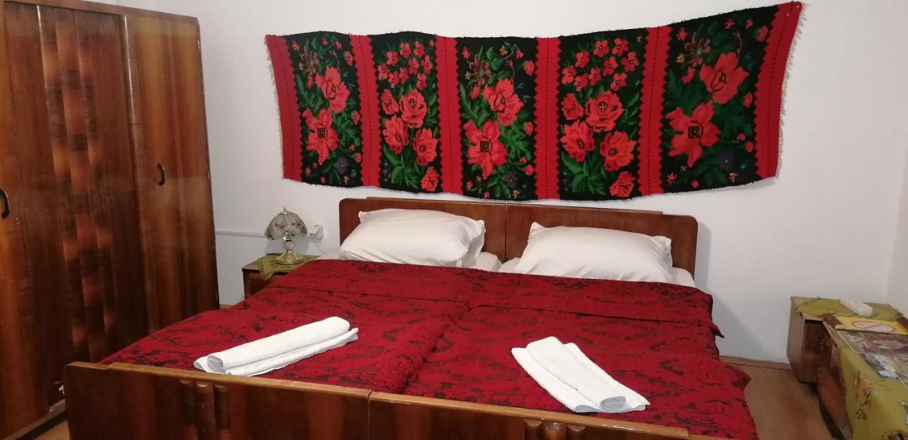 Etno Apartmani "Vlaska Kuca" Кладово Екстериор снимка