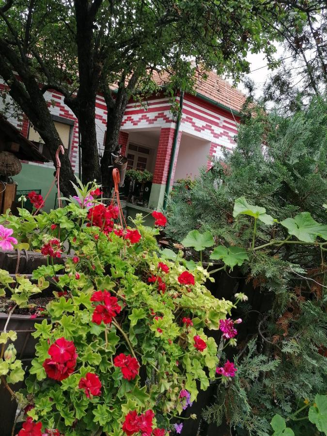 Etno Apartmani "Vlaska Kuca" Кладово Екстериор снимка