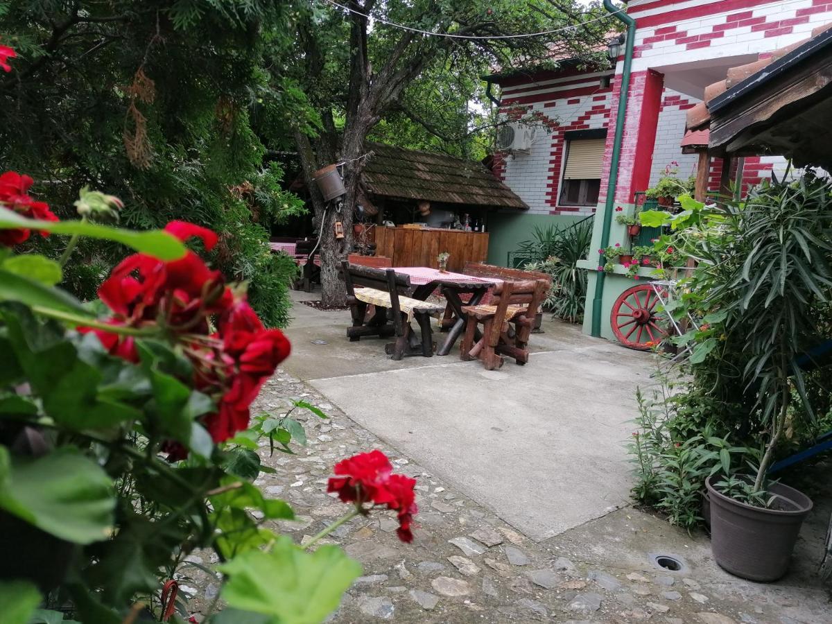 Etno Apartmani "Vlaska Kuca" Кладово Екстериор снимка