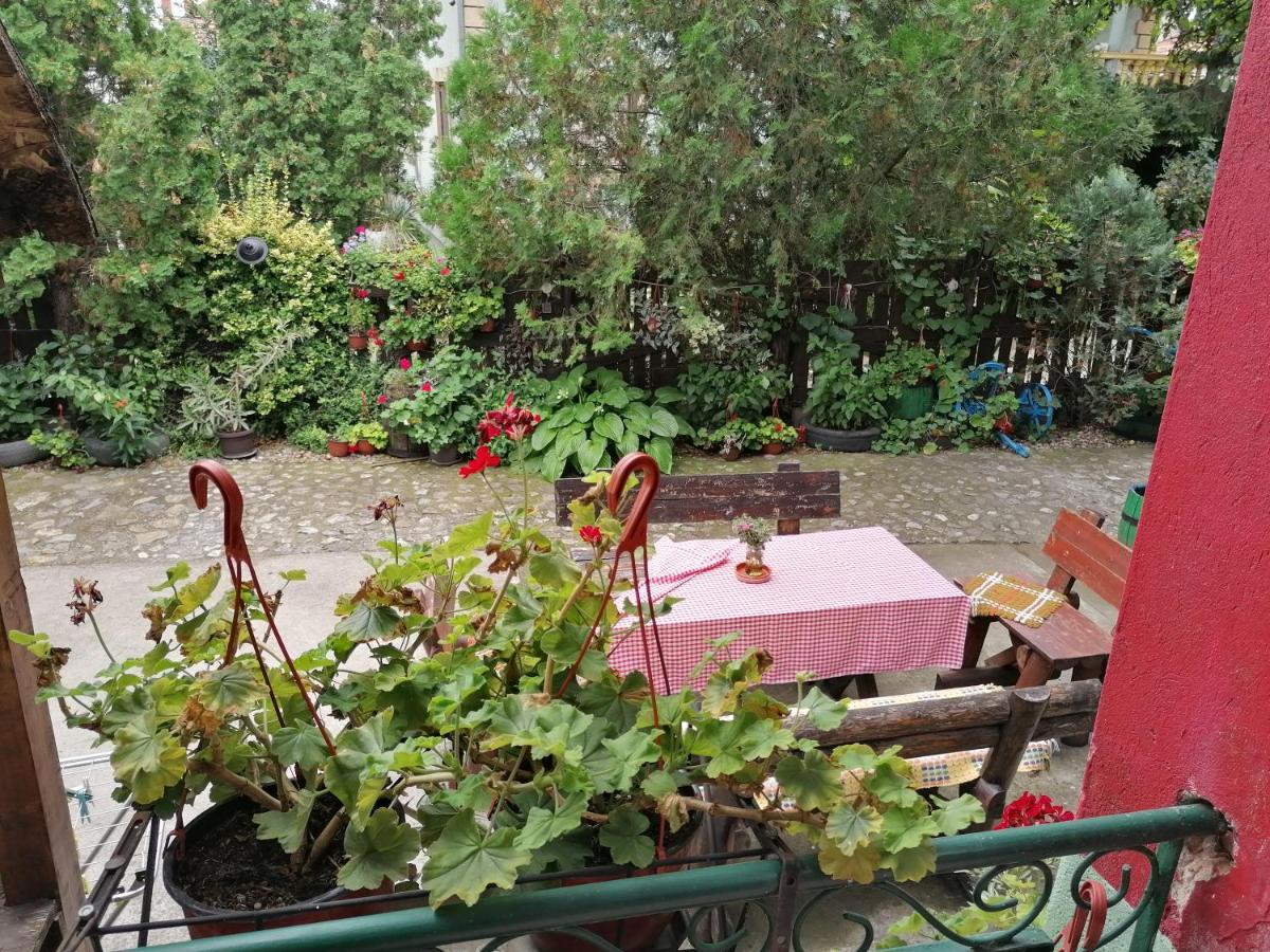 Etno Apartmani "Vlaska Kuca" Кладово Екстериор снимка